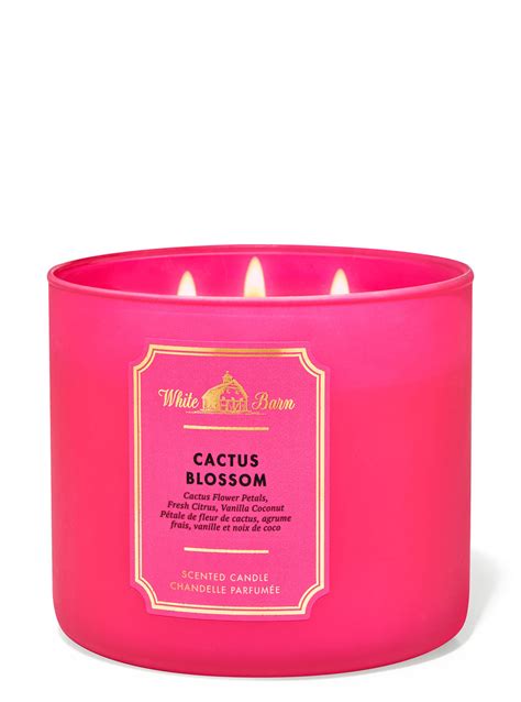 bath and body works candle cactus blossom|cactus blossom air freshener.